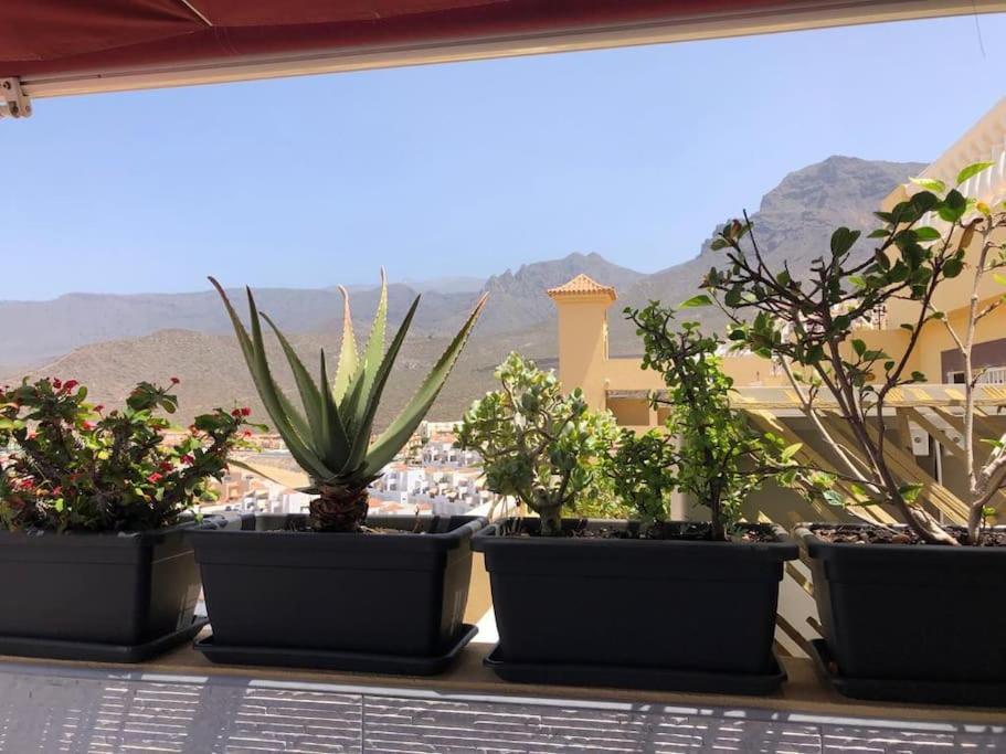 Apartamento Con Impresionantes Vistas Y Piscina Costa Adeje  Luaran gambar