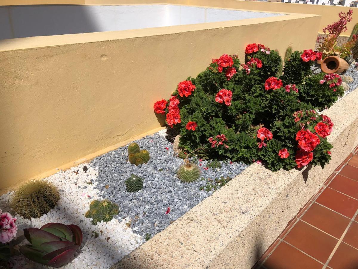 Apartamento Con Impresionantes Vistas Y Piscina Costa Adeje  Luaran gambar